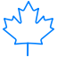 Canadian support icon